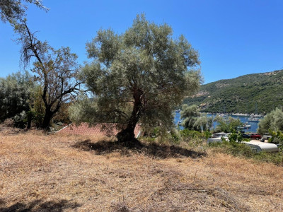 Poros 80m from the beach 002.jpg